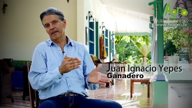 Cómo Construir una Empresa Ganadera Rentable - TvAgro por Juan Gonzalo Angel смотреть онлайн