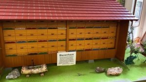 Музей пчеловодства в Шварцвальде Münstertal.mp4