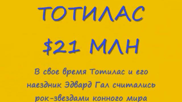 самые дорогие лошади в мире смотреть онлайн