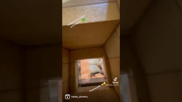 Правильная шамотная топка для плиты ?✅ подпишись ?✅#домпечникаkasko #сынпечника смотреть онлайн