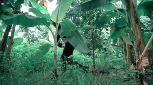 LTT Game Nerf War : Captain SEAL X Nerf Guns Fight Criminal Group Mr Zero Crazy Crime Hunter Squad