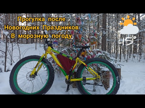 Прогулка после Новогодних праздников _ A walk after the New Year holidays _ 16.01.22.