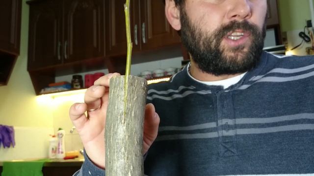 прививка грецкого ореха весной и летом разними способами))) смотреть онлайн