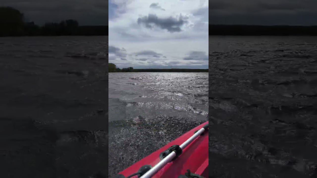 Рыбалка в сильный ветер. #shortvideo #fishing #рыбалка #fishingvideo смотреть онлайн