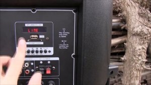 BM-065 Автономная акустика 300W