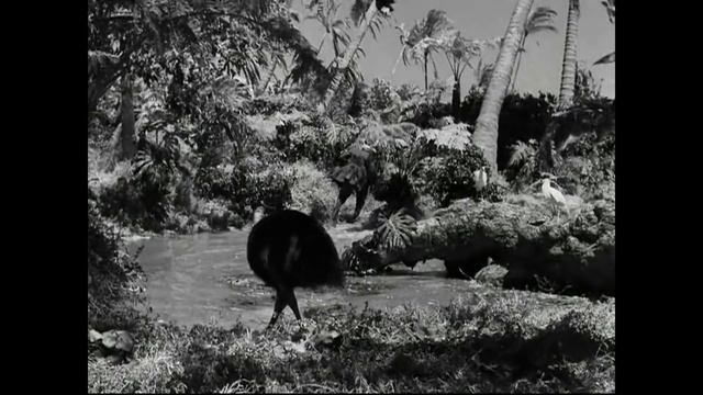 Острів скарбів. Скорочено.  Вся книга за 11 хвилин.