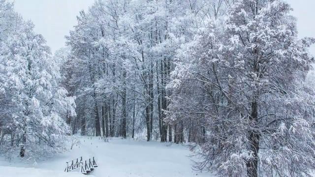 «…В тот год осенняя погода…». Читает Николай Алексеев смотреть онлайн