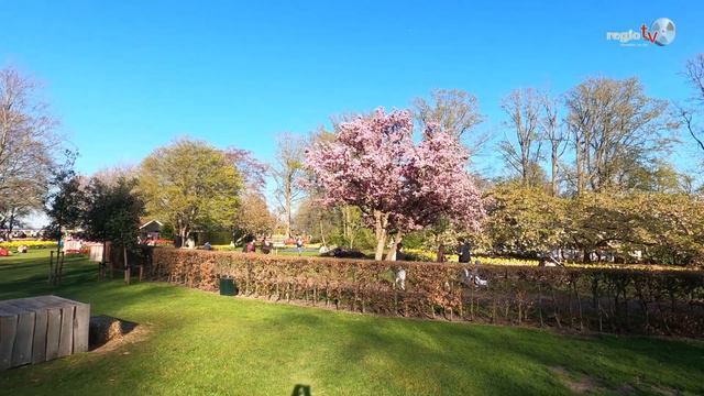 Keukenhof - der Blumenpark in Holland смотреть онлайн