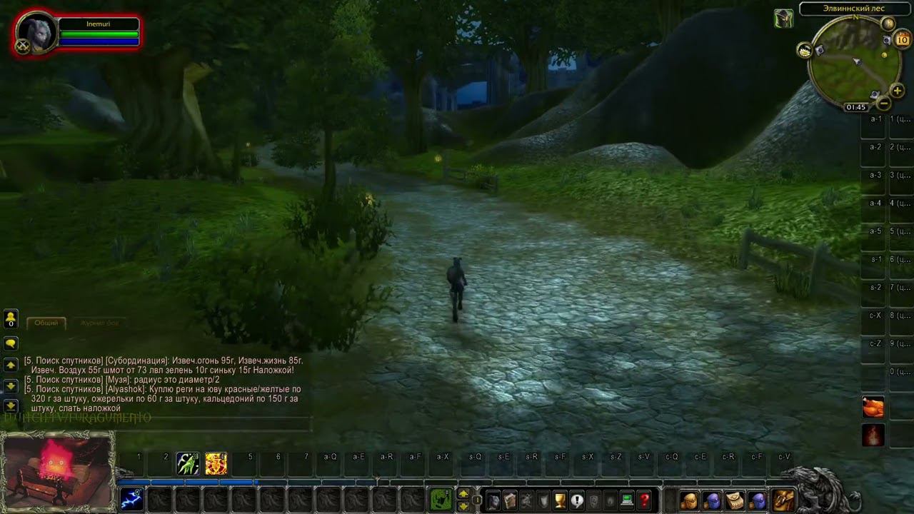 眠りにつくまで  [WoW: JustPlaying ]