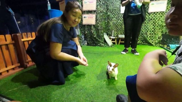 ПХУКЕТ. ТАЙЛАНД | НОЯБРЬ 2022 | КУДА ПОЙТИ | ЧТО СМОТРЕТЬ | НеБольшой видеообзор нашей поездки смотреть онлайн