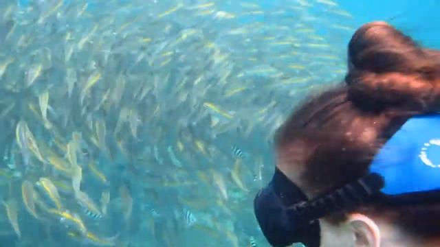 Manga Bay Первое погружение смотреть онлайн