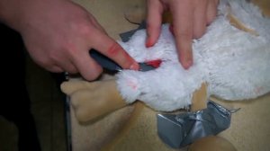 (СТРАШНО) РАЗРЕЗАЛ ЖИВОГО БУБУ в 3:00 *что внутри буба*