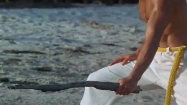 Увлекательные тренировки под управлением учителя капоэйро на прекрасном морском берегу смотреть онлайн