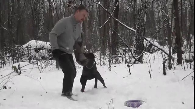 Этна Эгос из Зоосферы смотреть онлайн