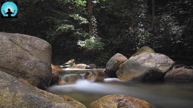 40 minutes Different Relaxation Music | Relaxing Music for Everyone | Flute, Violin & piano смотреть онлайн