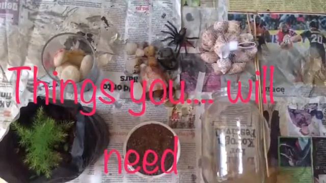 MAKING AN ASPARAGUS FERN TERRARIUM/ INDOOR PLANTS смотреть онлайн