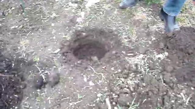 Бур садовый ручной для земляных работ поле1.рф смотреть онлайн