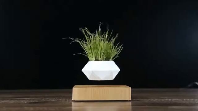 Левитирующий горшок с цветком. Levitating flower pot. смотреть онлайн