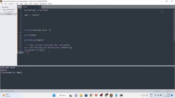 Python Basic Series in Hindi | Ep4 | Python Variables and Commenting