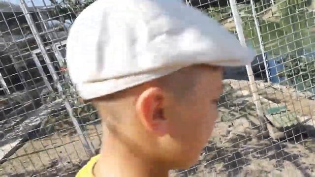IF Золотой Фазан зоопарк, база отдыха в селе Вышковское Ставище Golden Pheasant Zoo Ukraine 2018082 смотреть онлайн