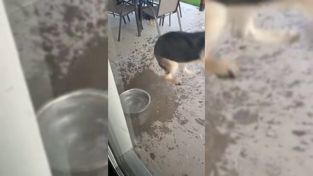 Подборка приколов смотреть онлайн