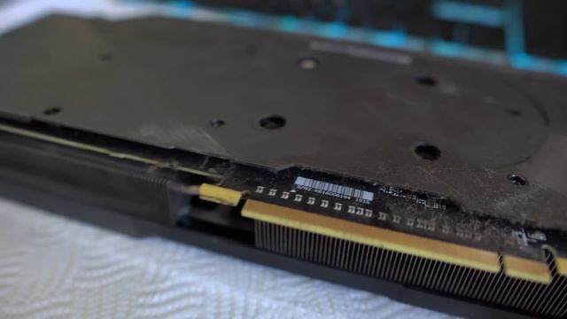 Грибная эйфория