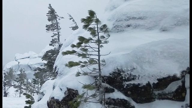 М Лермонтов На севере диком стоит одиноко #философскаялирика #стихиолюбви #поэты19века смотреть онлайн