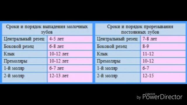 Сроки прорезывания постоянных зубов. Терапевтическая стоматология. Вопрос 14. смотреть онлайн