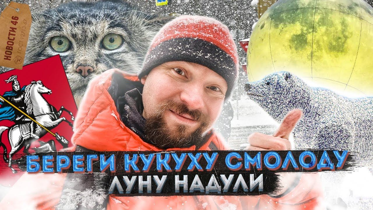 Банда психологов | Свадьба на ВДНХ | Бой в Южном Бутово смотреть онлайн