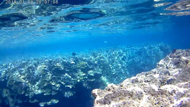 отель SATAY RESORT 5* MARSA ALAM EGYPT, красное море, дайвинг, снорклинг, коралловый риф смотреть онлайн