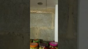частный дом погреб под домом на сваях.