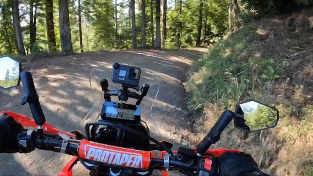 2021  Honda Crf 300L Rally Ride And My Thoughts On Hondas Transalp 750 Disappointment ??