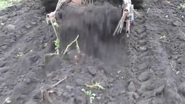 однорядная копалка по сырой земле смотреть онлайн