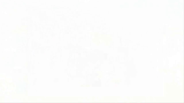 10000000_961399610654054_2818976663465885696_n