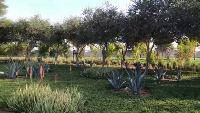 Al Khor Park - QATAR