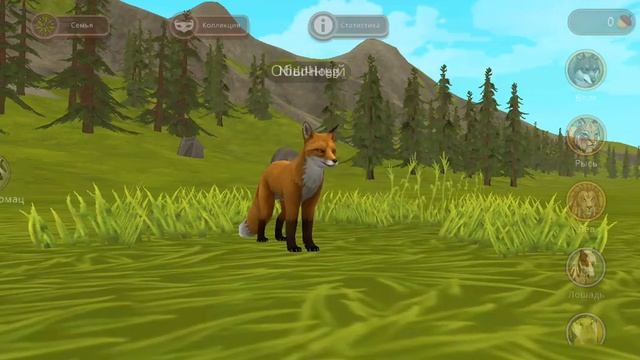 прокачка в вилде вместе с zЛуной! смотреть онлайн