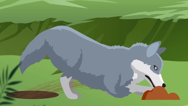 Why Do Dogs Bury Bones? | COLOSSAL QUESTIONS смотреть онлайн