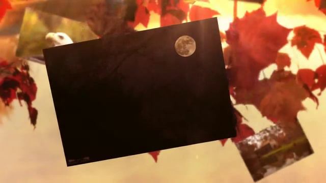 West Virginia by Leiane Gibson смотреть онлайн