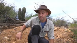 УКУС ЯДОВИТОЙ ЯЩЕРИЦЫ! (Ядозуб укусил в руку) Койот Питерсон на русском