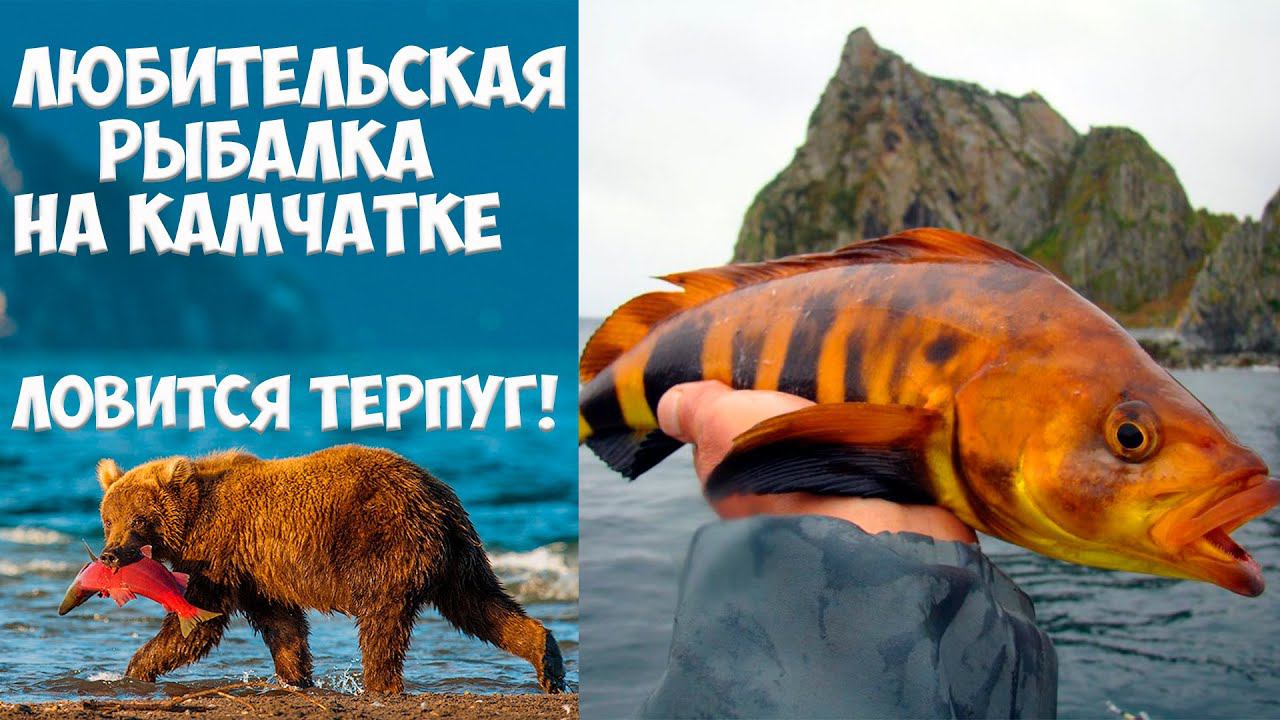 Рыбалка на Камчатке Ловится терпуг смотреть онлайн