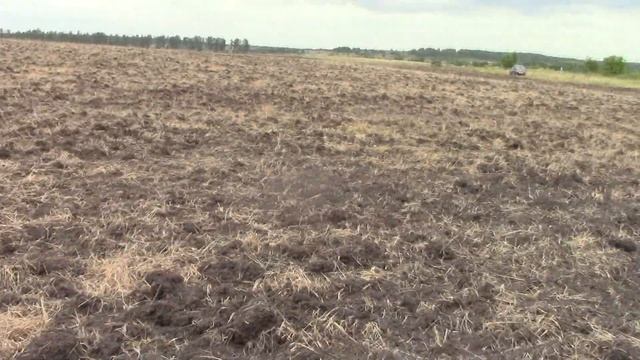 Рыбокоп в Рязанской области смотреть онлайн