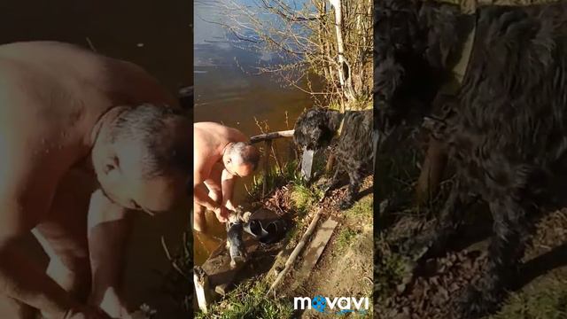 Купание каждый день 30/365 смотреть онлайн