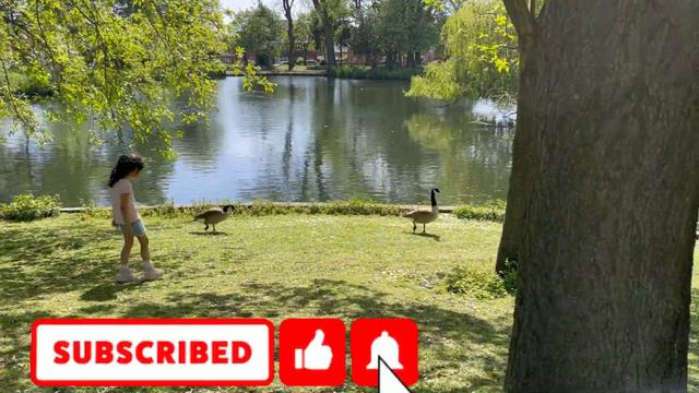 Kids visit park part-2|Grace|Rose|Bella|Seema|Chander||Mm Vlogs | смотреть онлайн