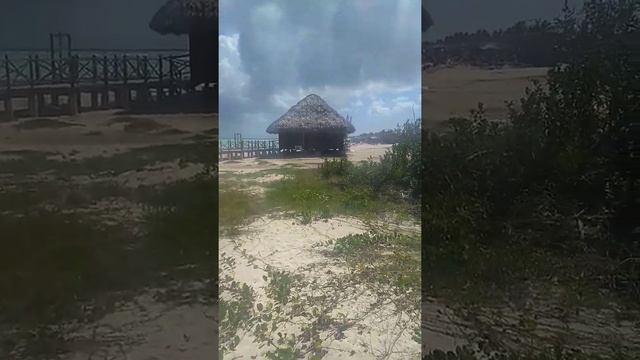 grand muthu cayo guillermo the beach 2019 смотреть онлайн