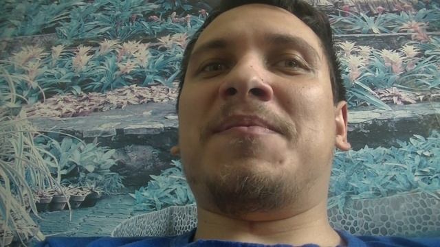 как мы ездили в гости к WYLSACOM во сне