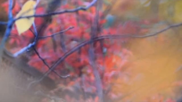 осень.унылость в глазах смотреть онлайн