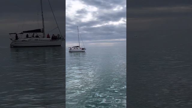 ЗАВОРАЖИВАЮЩЕЕ МОРЕ, ДЕЛЬФИНЫ *жми в правом верхнем углу: смотреть в высоком качестве смотреть онлайн