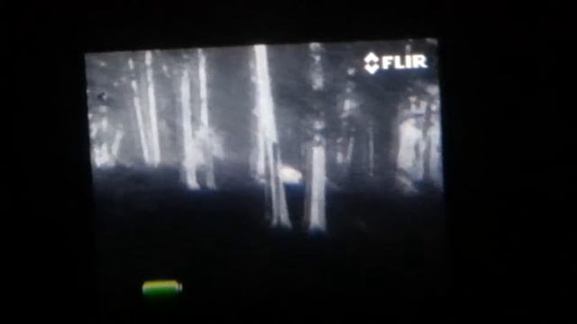 FLIR PS32 смотреть онлайн