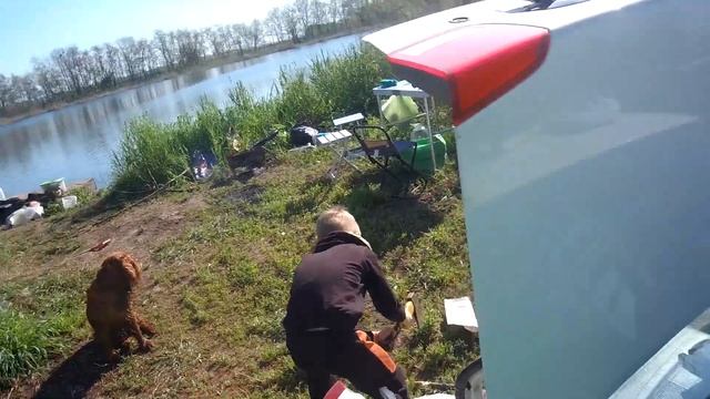 КАРАСЬ на ПОПЛАВОК в камышах, рыбалка весной на удочку! смотреть онлайн