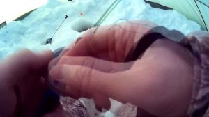 Снасть на язя / Зимняя рыбалка / Обь / Язь